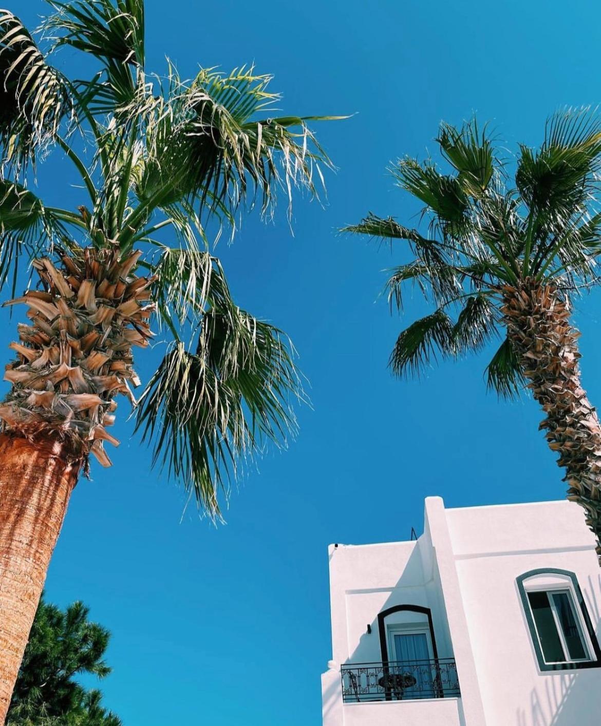 Yalinn Boutique Hotel Yalıkavak Buitenkant foto