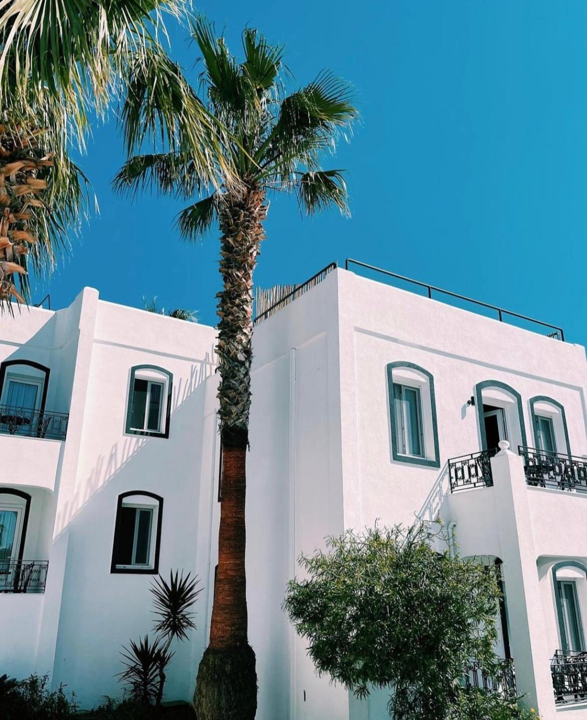 Yalinn Boutique Hotel Yalıkavak Buitenkant foto
